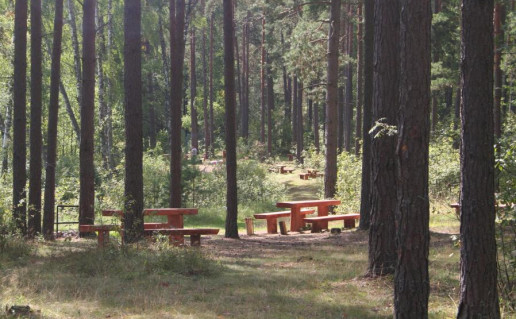 51_Skaidrio stovyklavietė.jpg